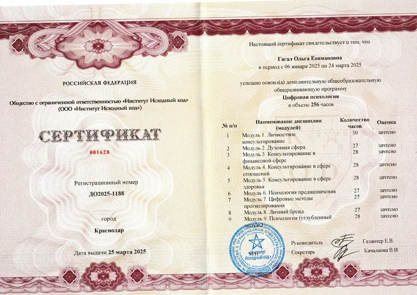 Цифровая психология, 256 часов